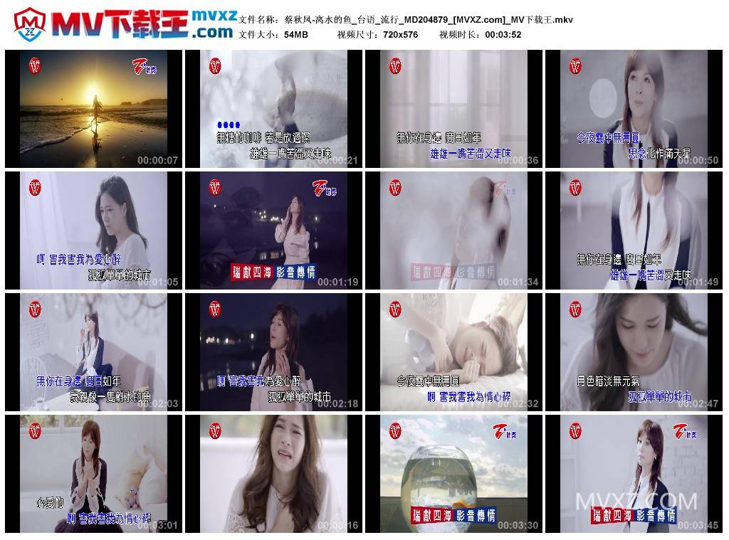 蔡秋凤-离水的鱼_台语_流行_MD204879